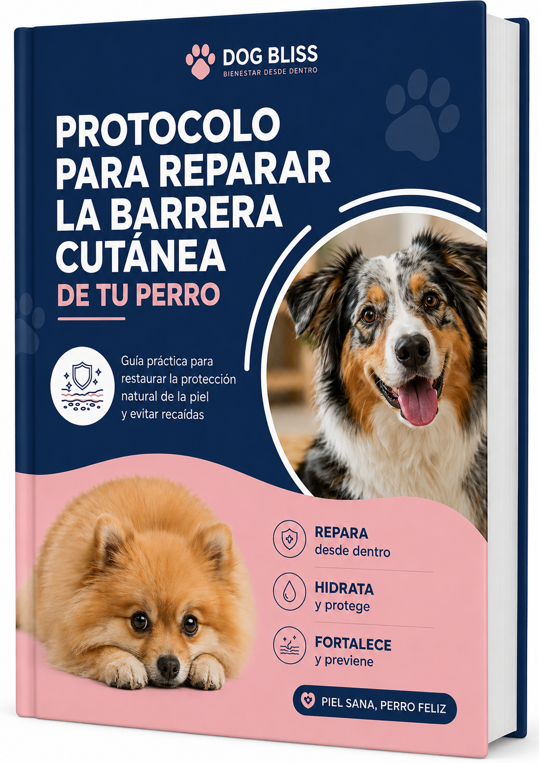 Protocolo para reparar la barrera cutánea de tu perro