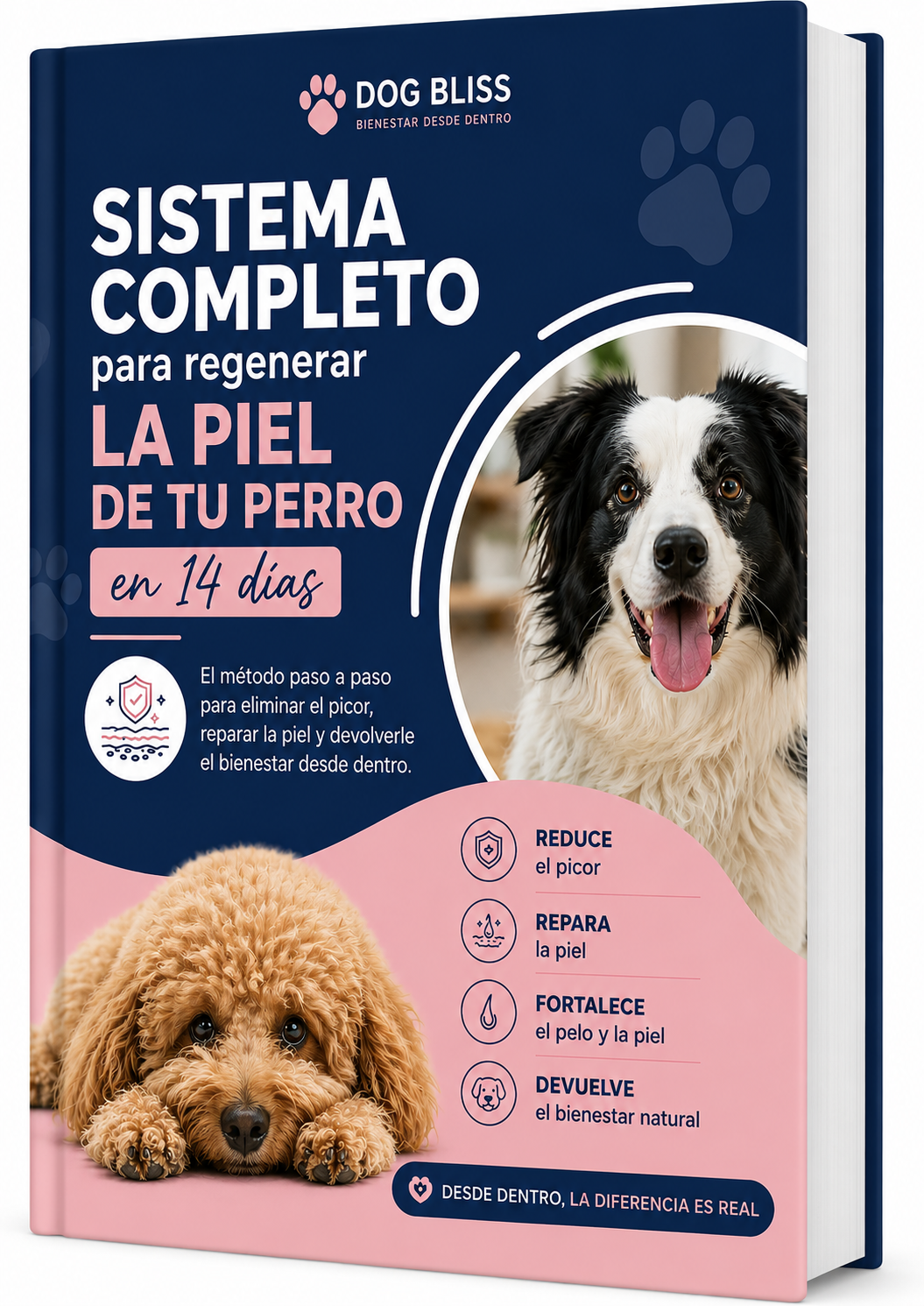 Sistema completo para regenerar la piel de tu perro en 14 días