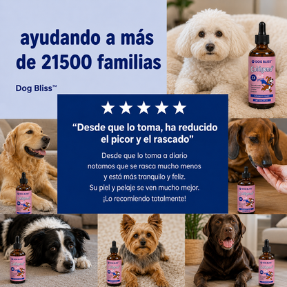 DOG BLISS™ Triple Colágeno