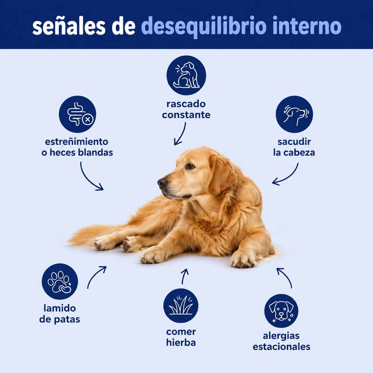 DOG BLISS™ Triple Colágeno